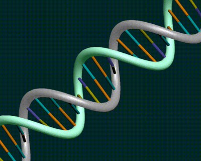 DNA del Trader Scientifico ®  -  Dai dadi agli attrattori caotici